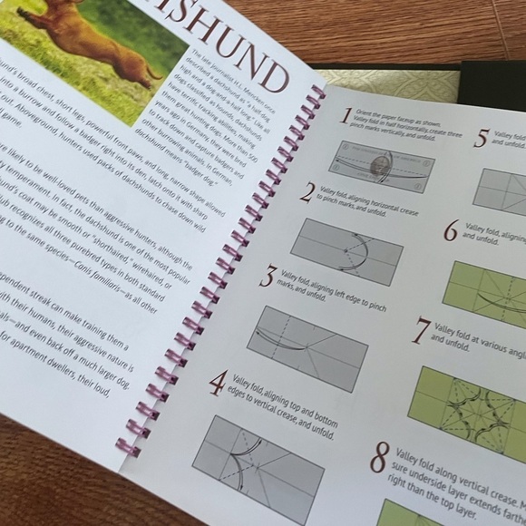 Dollar Animal Origami Kit: Book & 100 sheets of practice currency - Picture 2 of 4